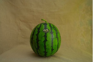 肥後の希すいか商品写真